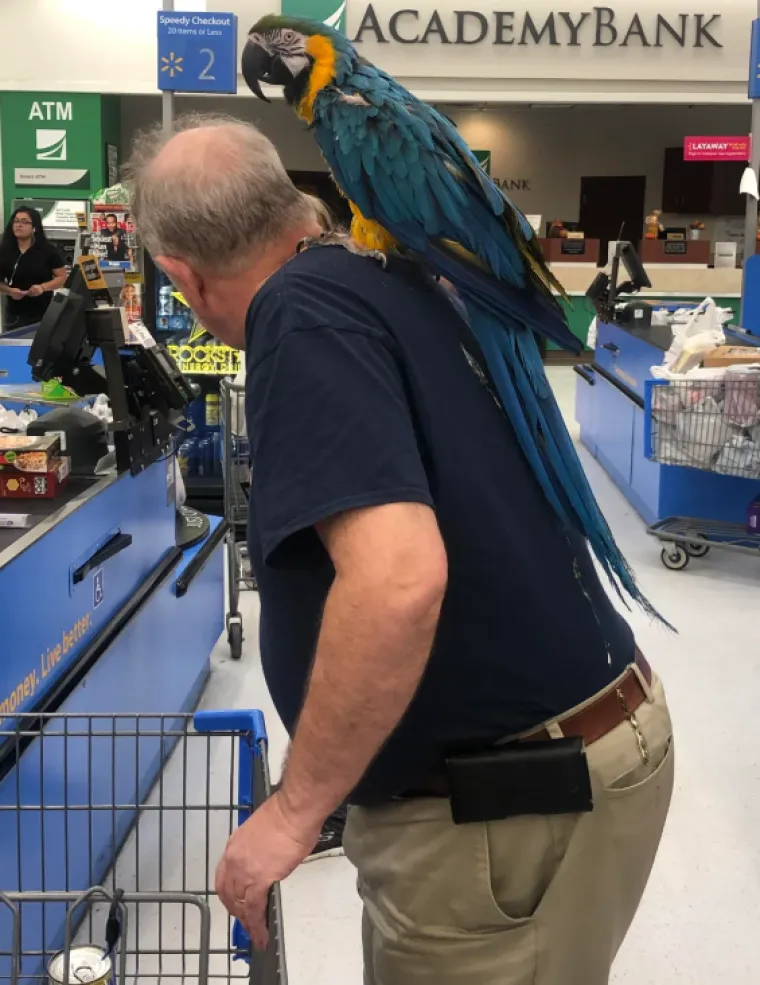 Kupci su podijelili najbizarnije prizore iz trgovina, neki će vas ba&scaron; &scaron;okirati