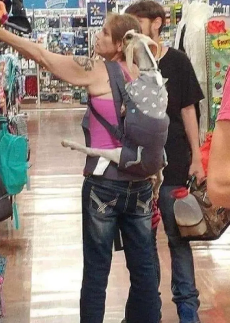 Kupci su podijelili najbizarnije prizore iz trgovina, neki će vas ba&scaron; &scaron;okirati