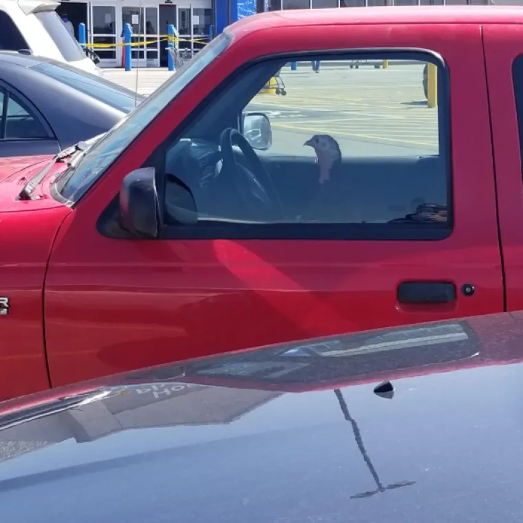 Kupci su podijelili najbizarnije prizore iz trgovina, neki će vas ba&scaron; &scaron;okirati