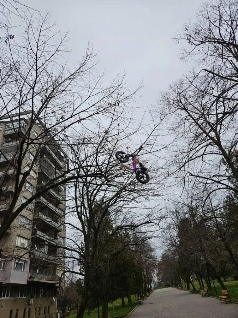 Eto urnebesnih znakova da se na Balkan vratilo proljeće, mnogi će vam prizori biti dobro poznati