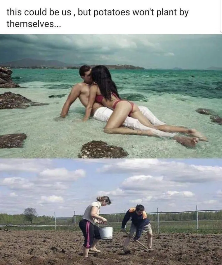 Eto urnebesnih znakova da se na Balkan vratilo proljeće, mnogi će vam prizori biti dobro poznati