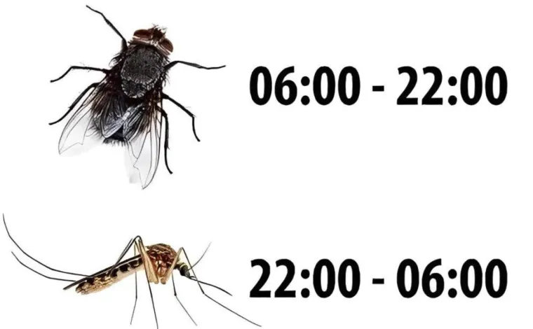 Eto urnebesnih znakova da se na Balkan vratilo proljeće, mnogi će vam prizori biti dobro poznati