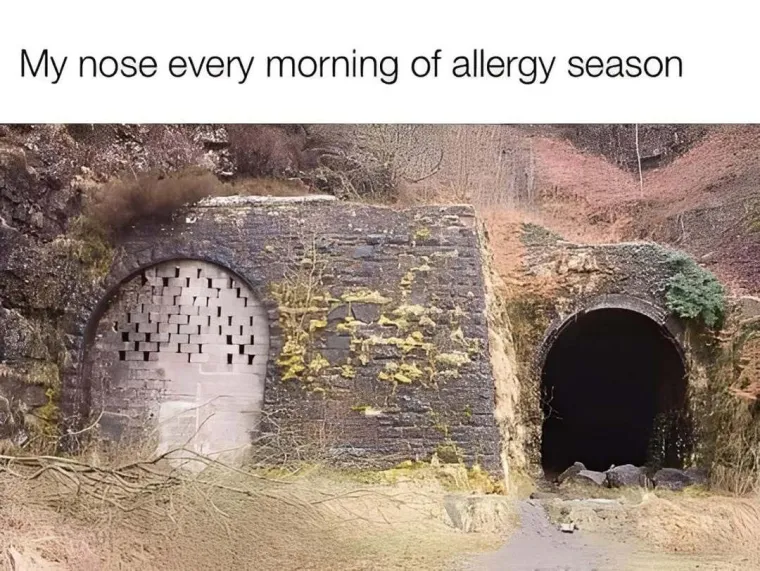 Eto urnebesnih znakova da se na Balkan vratilo proljeće, mnogi će vam prizori biti dobro poznati