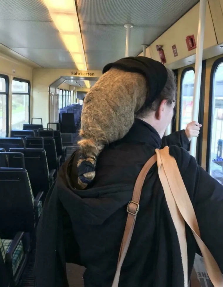 Oti&scaron;li po novu frizuru, iza&scaron;li s razlogom za tužbu: Nevjerojatno kakve su im katastrofe napravili