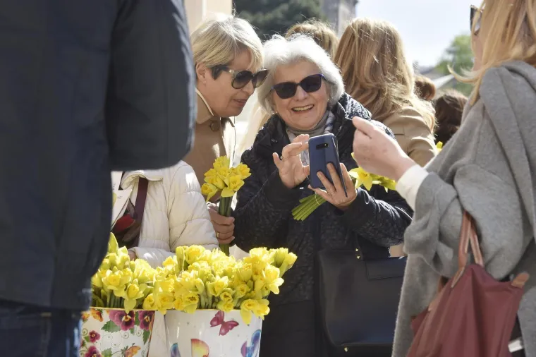 Danas je sve u znaku narcisa: Ovaj cvijet ima puno veću poruku od najave proljeća