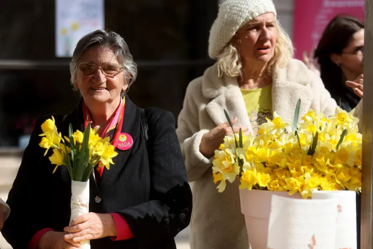 Danas je sve u znaku narcisa: Ovaj cvijet ima puno veću poruku od najave proljeća