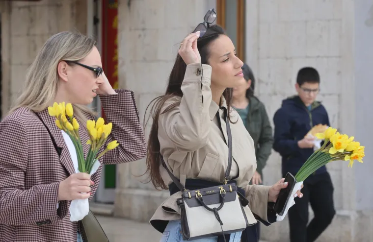 Danas je sve u znaku narcisa: Ovaj cvijet ima puno veću poruku od najave proljeća