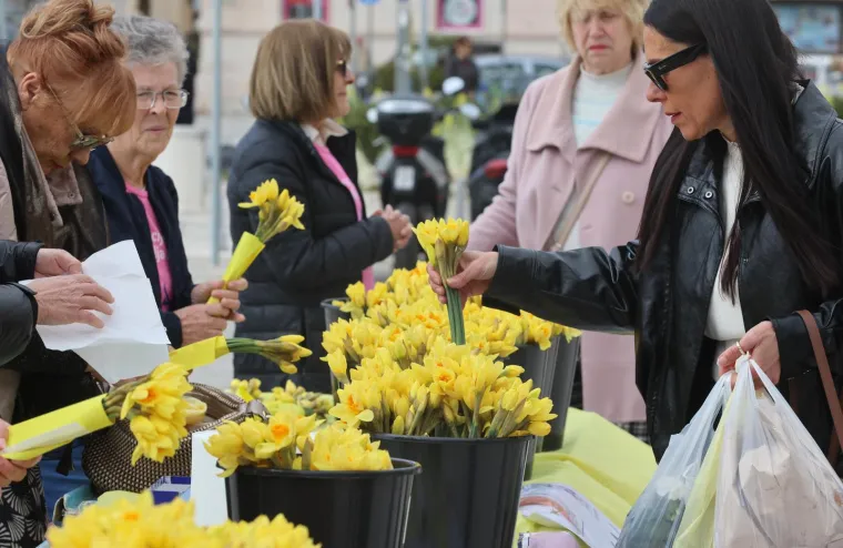 Danas je sve u znaku narcisa: Ovaj cvijet ima puno veću poruku od najave proljeća