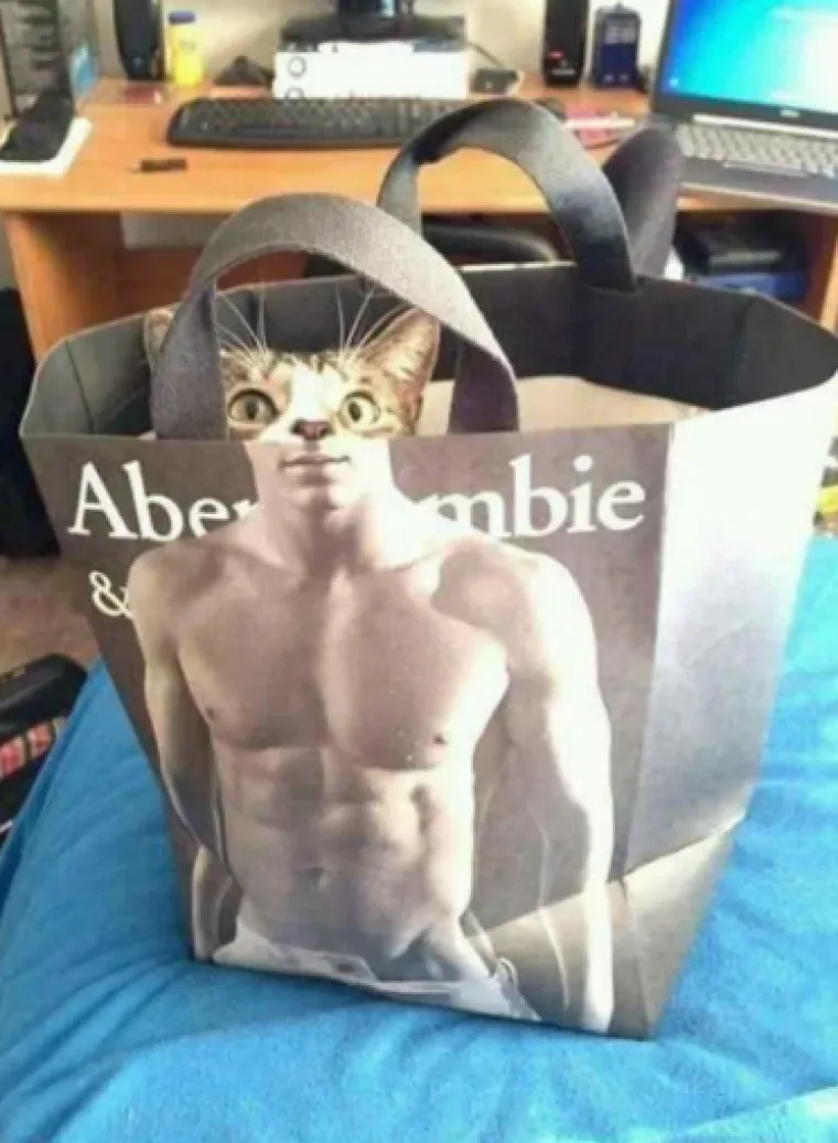 Ovako izgleda kada fotografiju snimite u pravom trenutku: Rezultati su čisti urnebes