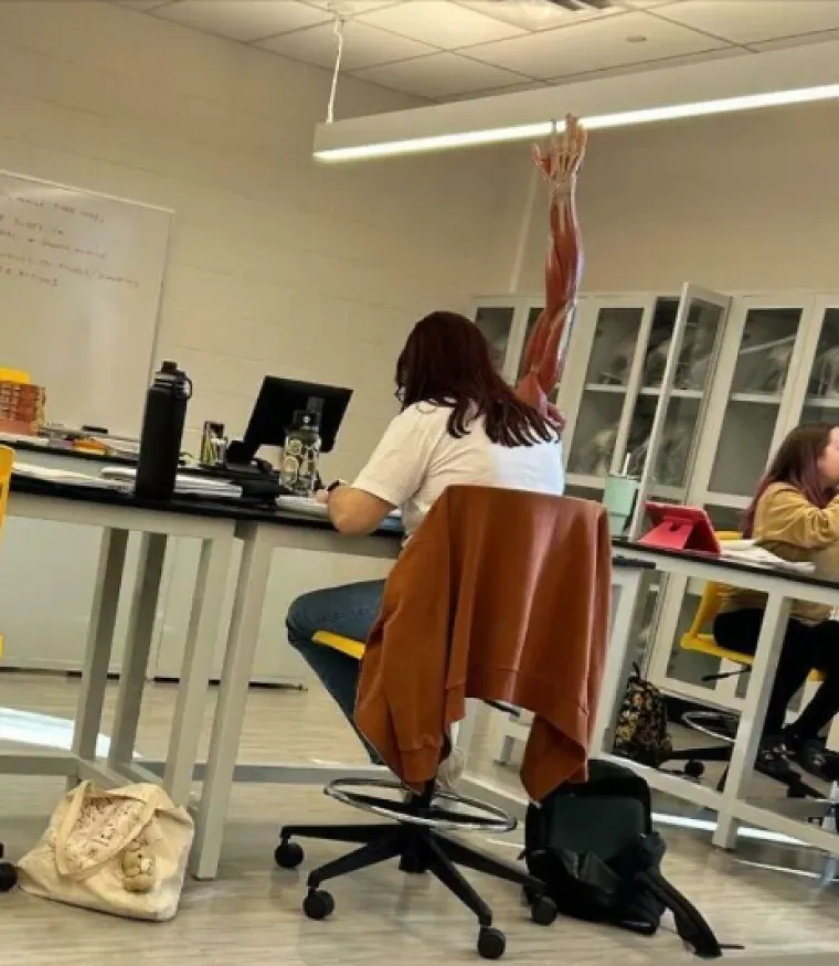 Ovako izgleda kada fotografiju snimite u pravom trenutku: Rezultati su čisti urnebes