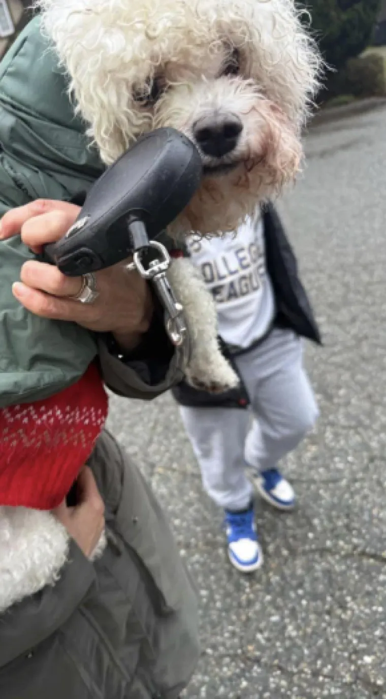 Ovako izgleda kada fotografiju snimite u pravom trenutku: Rezultati su čisti urnebes