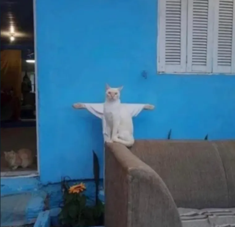 Ovako izgleda kada fotografiju snimite u pravom trenutku: Rezultati su čisti urnebes