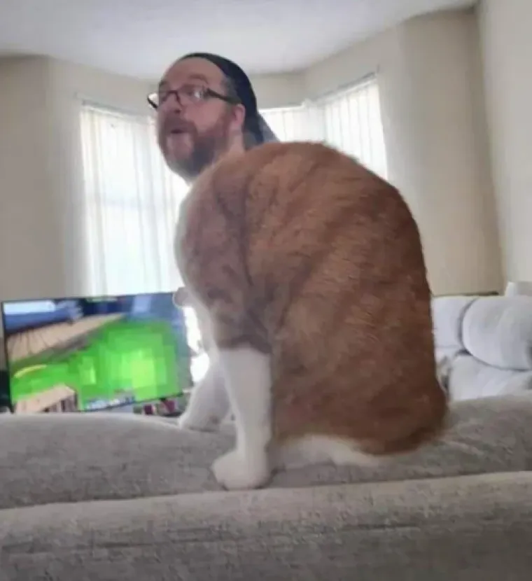 Ovako izgleda kada fotografiju snimite u pravom trenutku: Rezultati su čisti urnebes