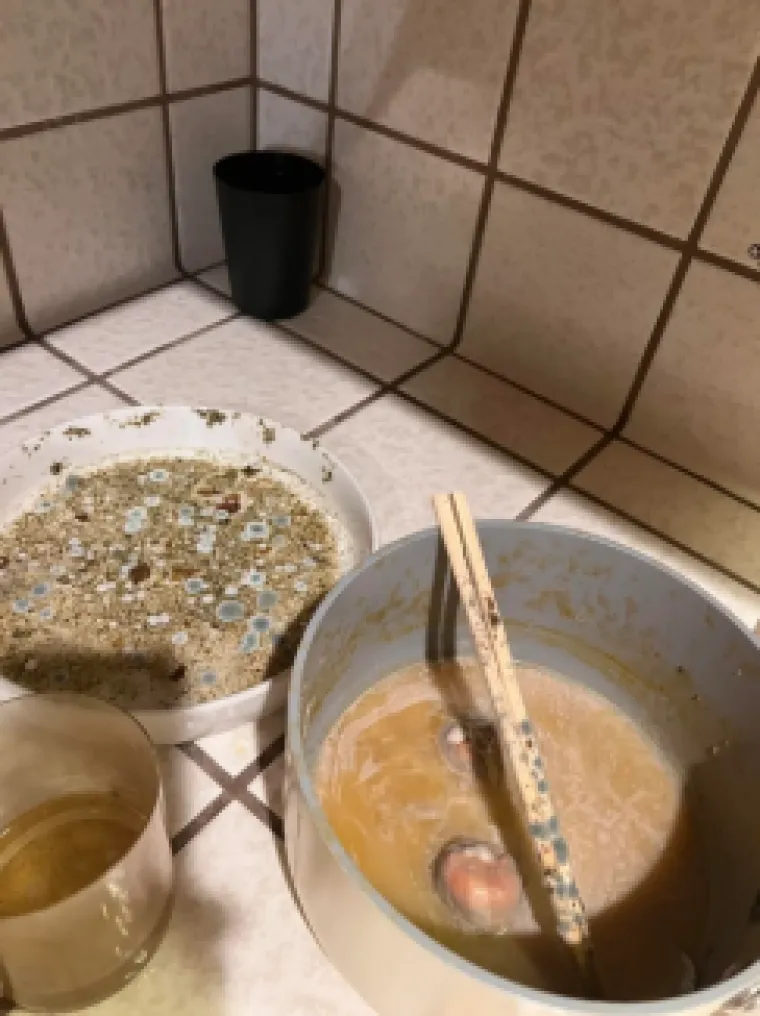 Ovo su definitvno najgori cimeri ikad: Neke fotke će vas ostaviti s poprilično uzdrmanim želucem