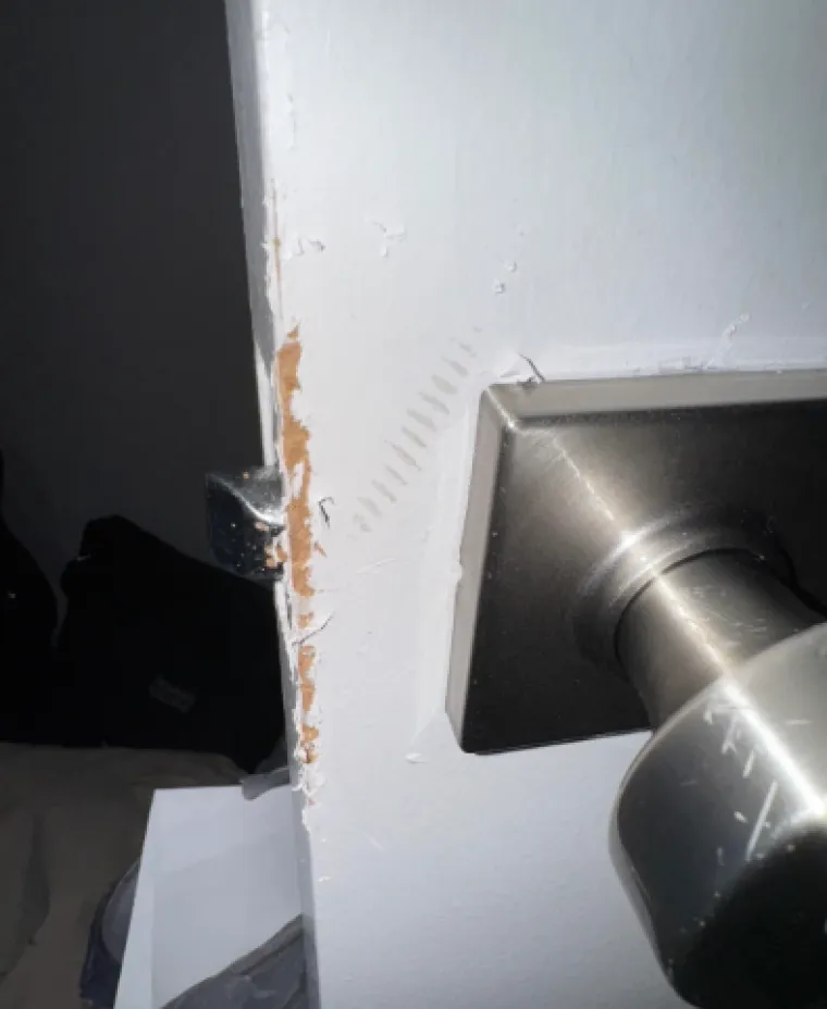 Ovo su definitvno najgori cimeri ikad: Neke fotke će vas ostaviti s poprilično uzdrmanim želucem