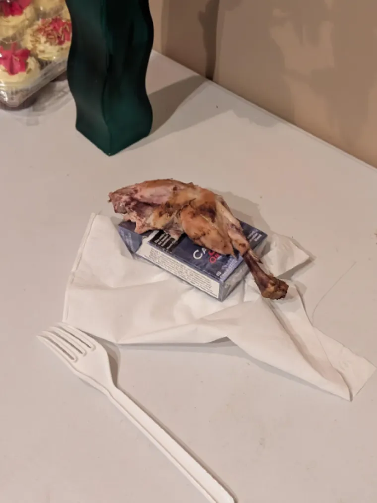 Ovo su definitvno najgori cimeri ikad: Neke fotke će vas ostaviti s poprilično uzdrmanim želucem