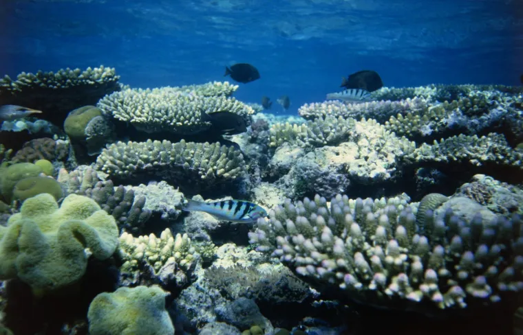 Deset najnevjerojatnijih vodenih čuda svijeta: Od veličanstvenih prizora zastaje dah