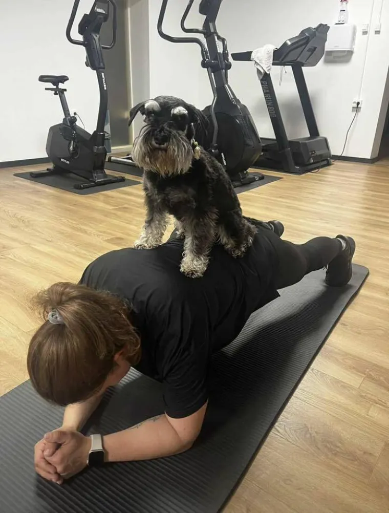 Mudri najbolji prijatelj: Va&scaron;i patuljasti &scaron;nauceri malo koga neće razveseliti