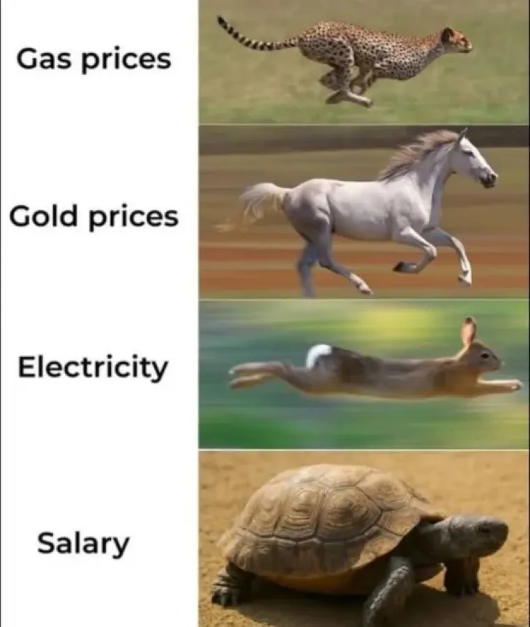 Tko bi rekao da ćemo se cijenama goriva moći i nasmijati: Pogledajte ove memove, urnebesni su