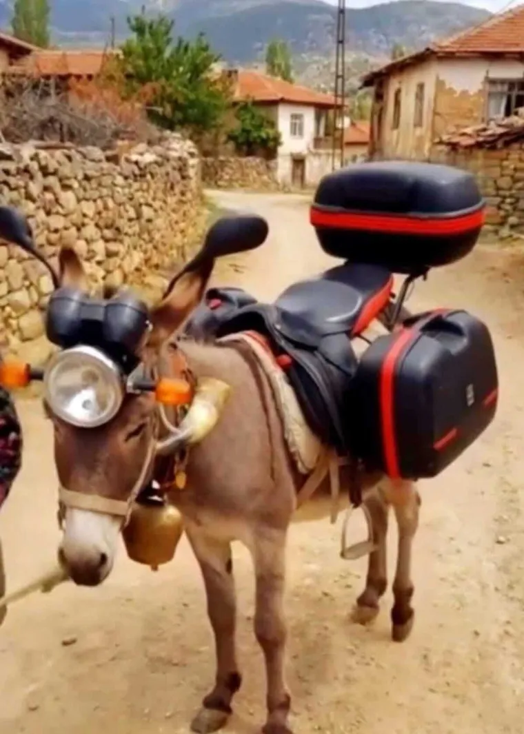 Tko bi rekao da ćemo se cijenama goriva moći i nasmijati: Pogledajte ove memove, urnebesni su