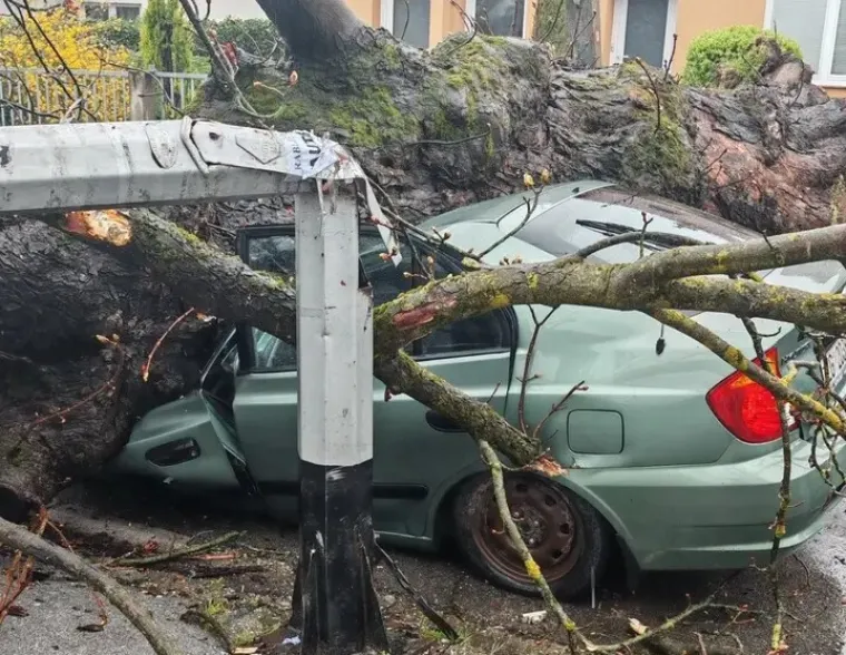 Kao da je apokalipsa... Ovo su prizori iz Zagreba, stabla razbila automobile, izdan crveni alarm
