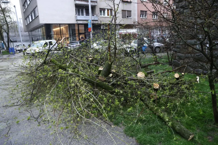 Kao da je apokalipsa... Ovo su prizori iz Zagreba, stabla razbila automobile, izdan crveni alarm