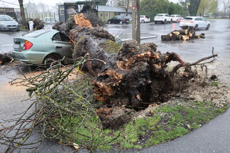 Kao da je apokalipsa... Ovo su prizori iz Zagreba, stabla razbila automobile, izdan crveni alarm