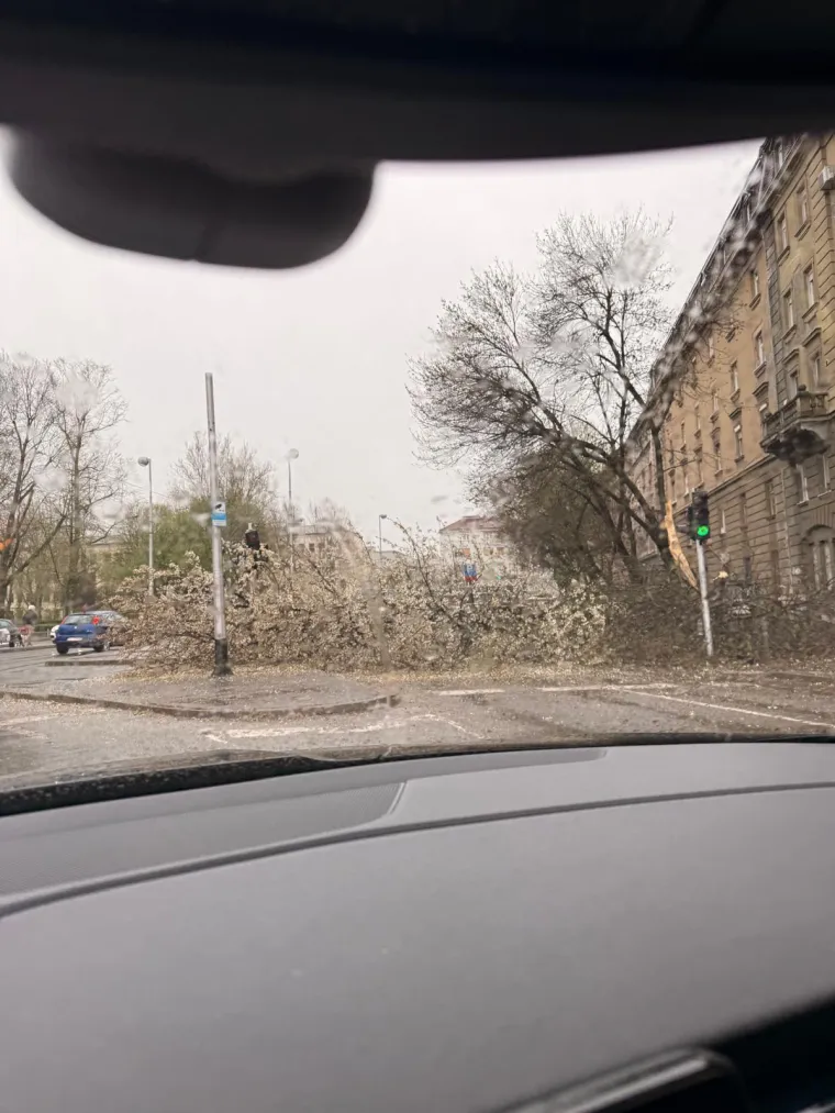 Ovo je Zagreb u petak ujutro: Polomljena stabla, i&scaron;čupani krovovi, sru&scaron;eni stupovi, skele...