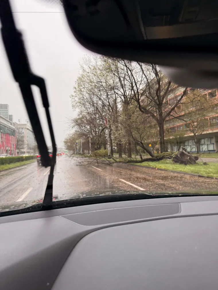 Ovo je Zagreb u petak ujutro: Polomljena stabla, i&scaron;čupani krovovi, sru&scaron;eni stupovi, skele...