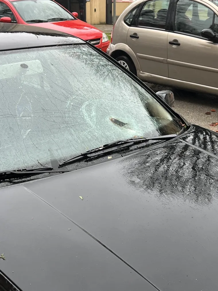 Ovo je Zagreb u petak ujutro: Polomljena stabla, i&scaron;čupani krovovi, sru&scaron;eni stupovi, skele...