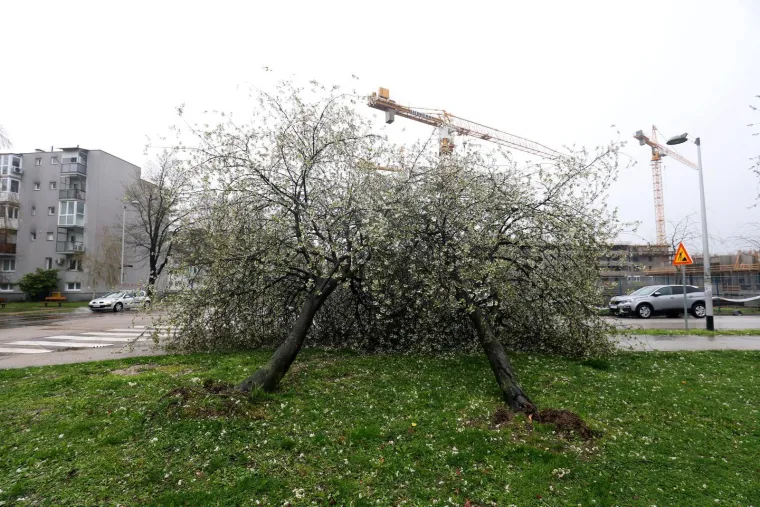 Ovo je Zagreb u petak ujutro: Polomljena stabla, i&scaron;čupani krovovi, sru&scaron;eni stupovi, skele...