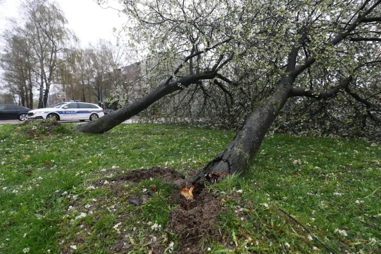 Ovo je Zagreb u petak ujutro: Polomljena stabla, i&scaron;čupani krovovi, sru&scaron;eni stupovi, skele...