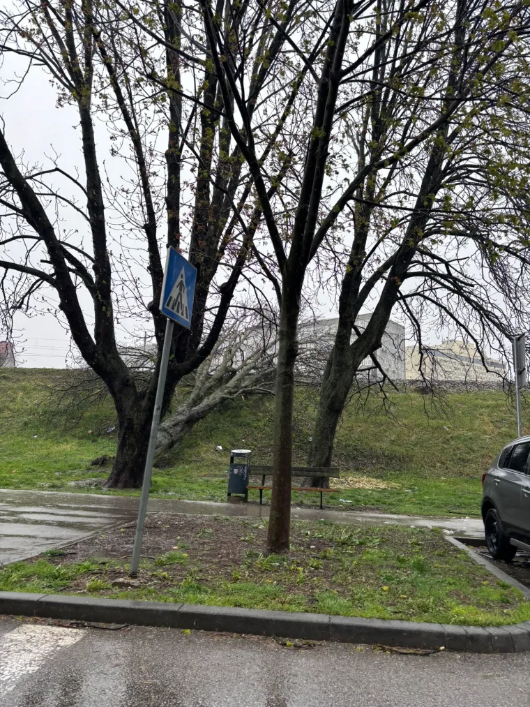 Ovo je Zagreb u petak ujutro: Polomljena stabla, i&scaron;čupani krovovi, sru&scaron;eni stupovi, skele...