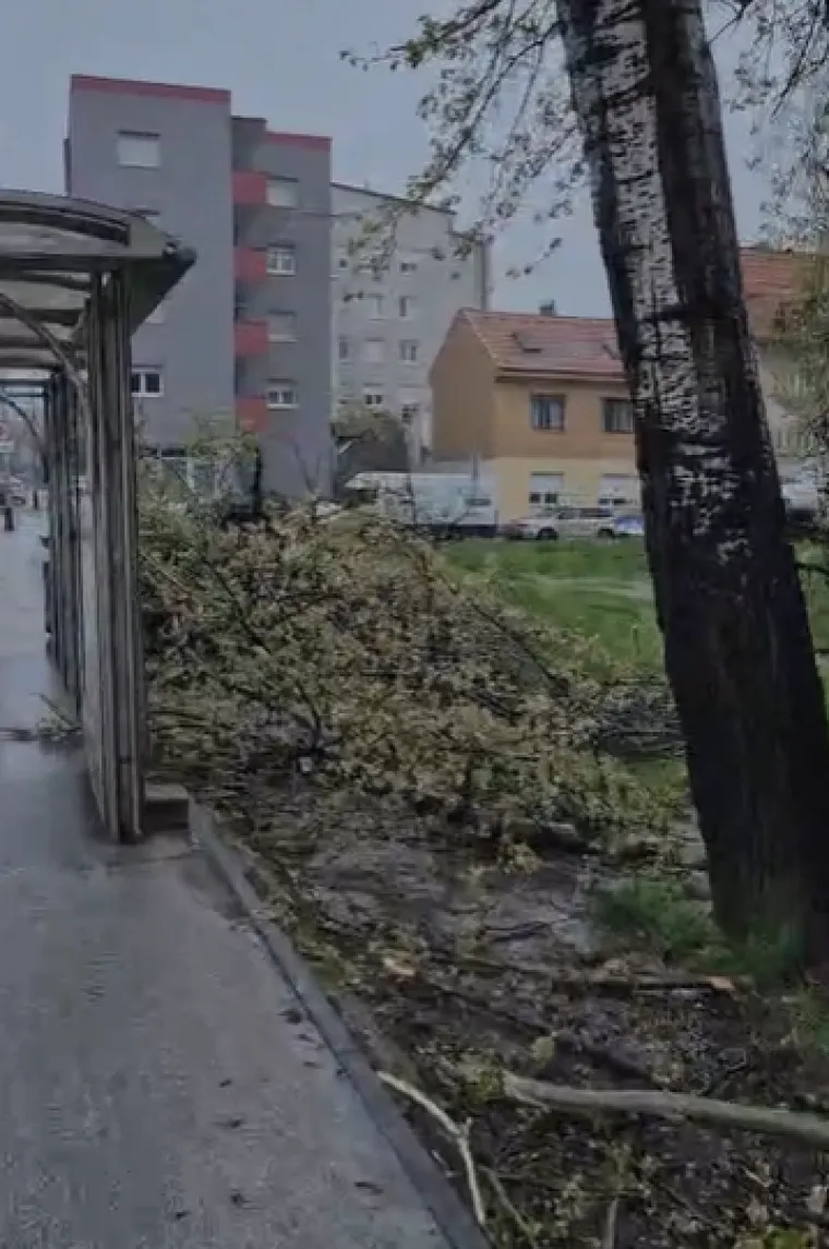 Ovo je Zagreb u petak ujutro: Polomljena stabla, i&scaron;čupani krovovi, sru&scaron;eni stupovi, skele...