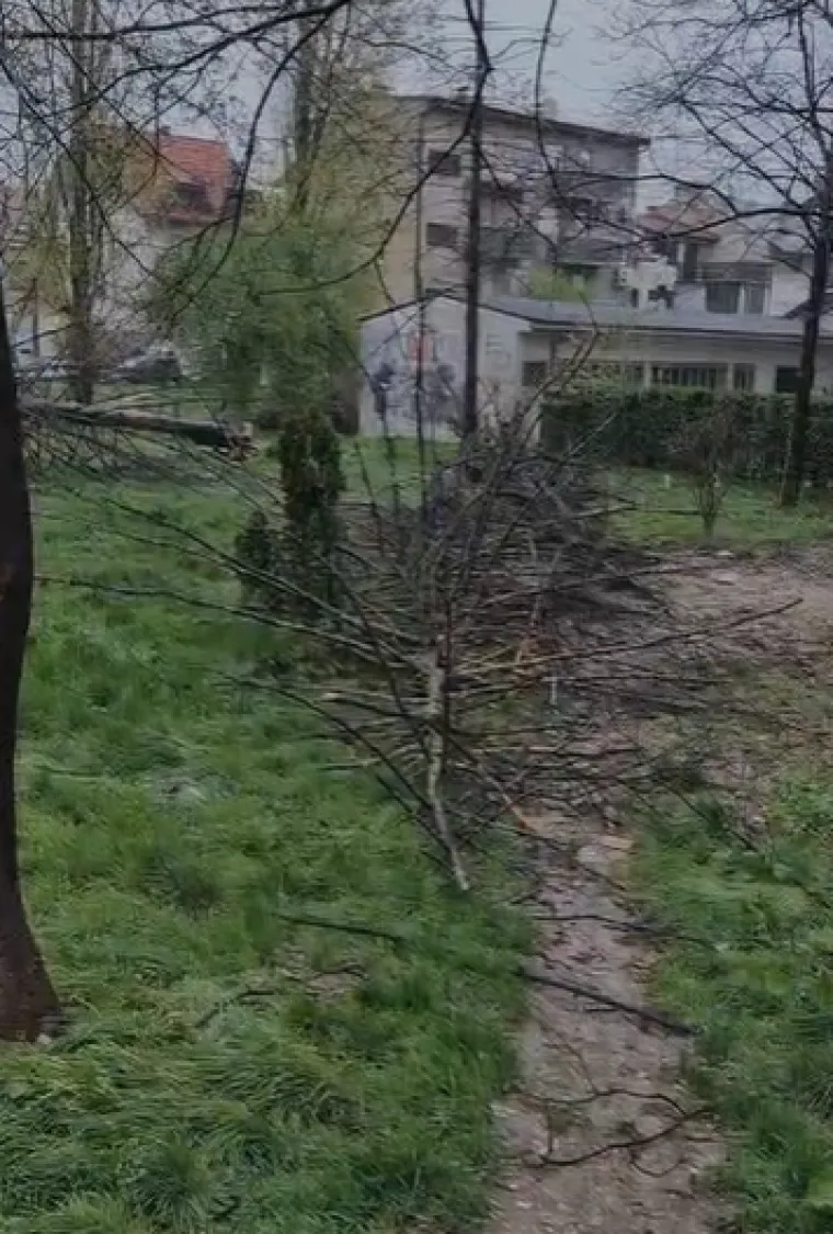 Ovo je Zagreb u petak ujutro: Polomljena stabla, i&scaron;čupani krovovi, sru&scaron;eni stupovi, skele...