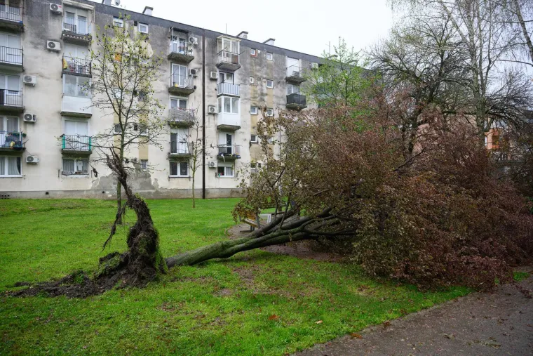Ovo je Zagreb u petak ujutro: Polomljena stabla, i&scaron;čupani krovovi, sru&scaron;eni stupovi, skele...