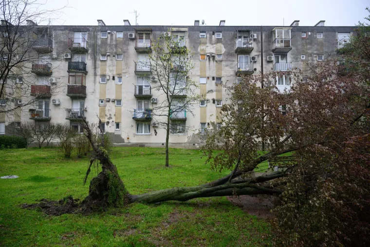 Ovo je Zagreb u petak ujutro: Polomljena stabla, i&scaron;čupani krovovi, sru&scaron;eni stupovi, skele...