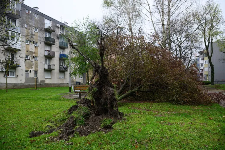 Ovo je Zagreb u petak ujutro: Polomljena stabla, i&scaron;čupani krovovi, sru&scaron;eni stupovi, skele...