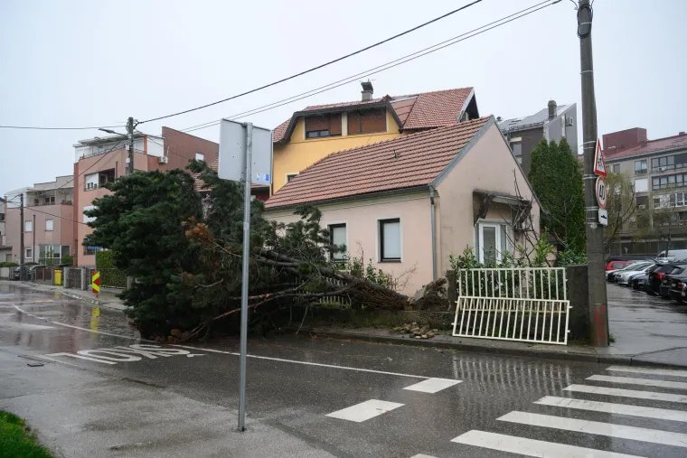 Ovo je Zagreb u petak ujutro: Polomljena stabla, i&scaron;čupani krovovi, sru&scaron;eni stupovi, skele...