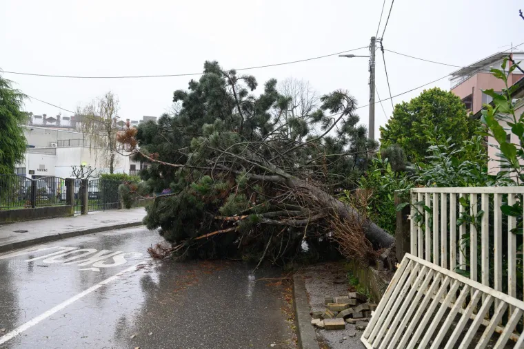 Ovo je Zagreb u petak ujutro: Polomljena stabla, i&scaron;čupani krovovi, sru&scaron;eni stupovi, skele...