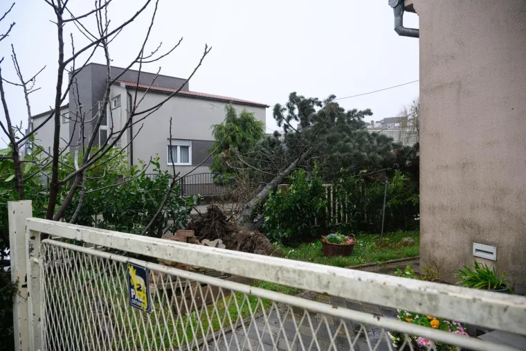 Ovo je Zagreb u petak ujutro: Polomljena stabla, i&scaron;čupani krovovi, sru&scaron;eni stupovi, skele...