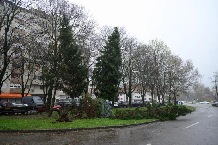 Ovo je Zagreb u petak ujutro: Polomljena stabla, i&scaron;čupani krovovi, sru&scaron;eni stupovi, skele...