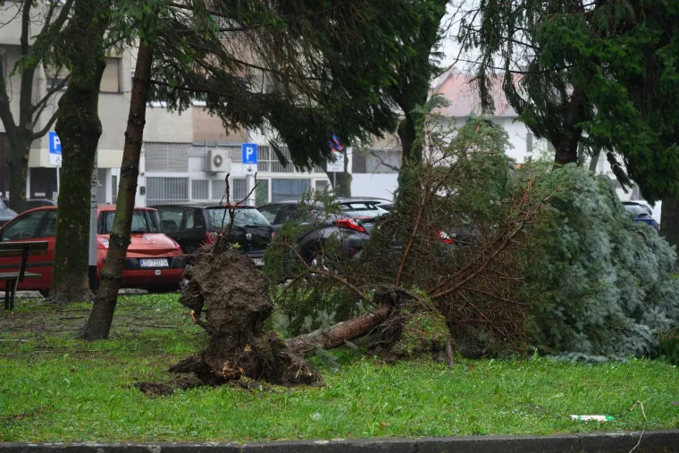Ovo je Zagreb u petak ujutro: Polomljena stabla, i&scaron;čupani krovovi, sru&scaron;eni stupovi, skele...