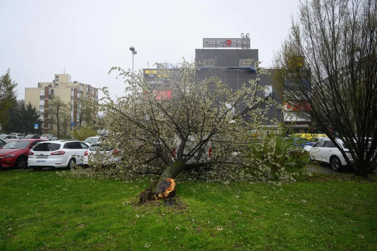 Ovo je Zagreb u petak ujutro: Polomljena stabla, i&scaron;čupani krovovi, sru&scaron;eni stupovi, skele...