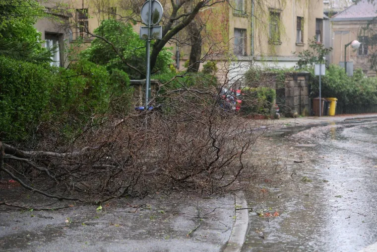 Ovo je Zagreb u petak ujutro: Polomljena stabla, i&scaron;čupani krovovi, sru&scaron;eni stupovi, skele...