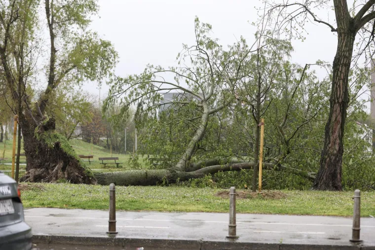 Ovo je Zagreb u petak ujutro: Polomljena stabla, i&scaron;čupani krovovi, sru&scaron;eni stupovi, skele...