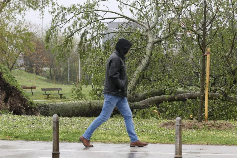 Ovo je Zagreb u petak ujutro: Polomljena stabla, i&scaron;čupani krovovi, sru&scaron;eni stupovi, skele...