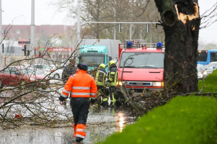 Ovo je Zagreb u petak ujutro: Polomljena stabla, i&scaron;čupani krovovi, sru&scaron;eni stupovi, skele...