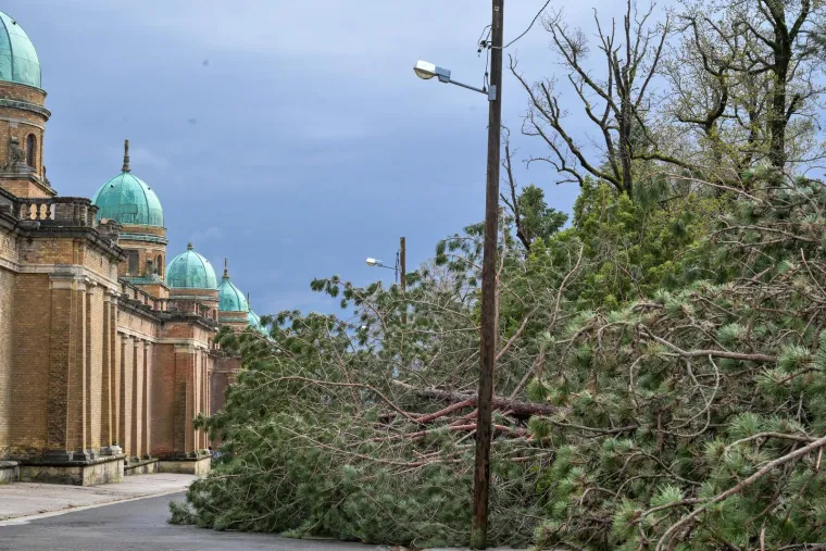 Mirogoj poharalo nevrijeme: O&scaron;tećen grob legendarnog trenera, stabla padala i na anđele