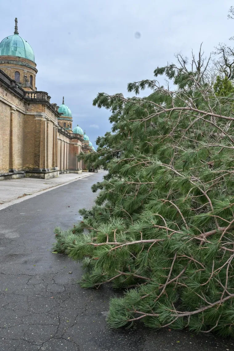 Mirogoj poharalo nevrijeme: O&scaron;tećen grob legendarnog trenera, stabla padala i na anđele